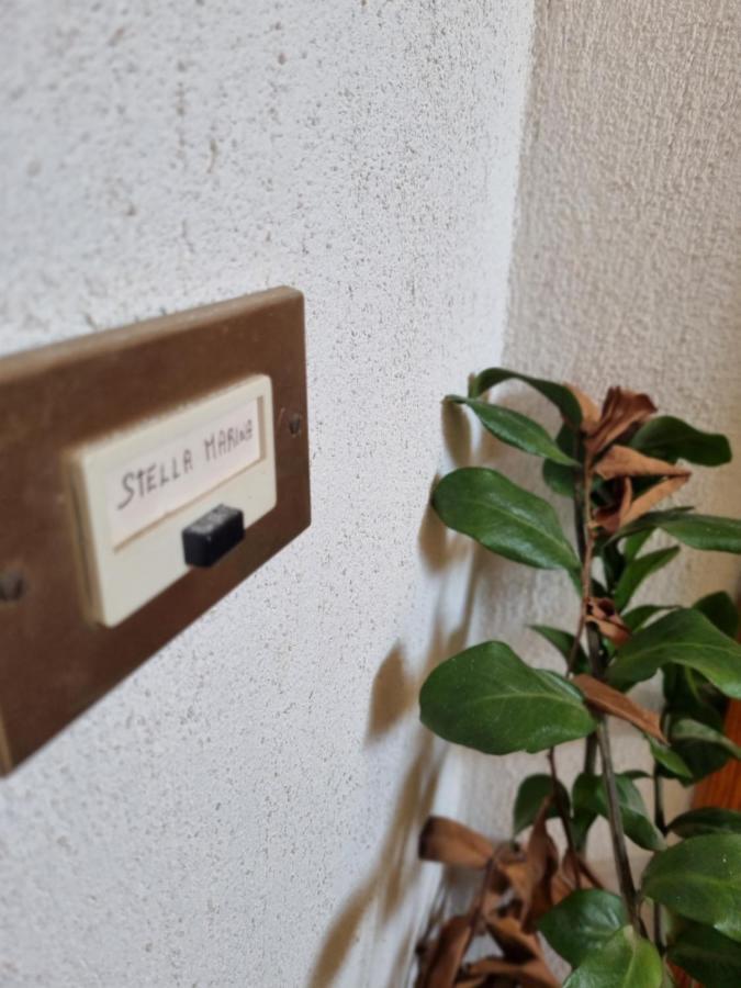 Appartamenti Stella Marina سان فيتو لو كابو المظهر الخارجي الصورة