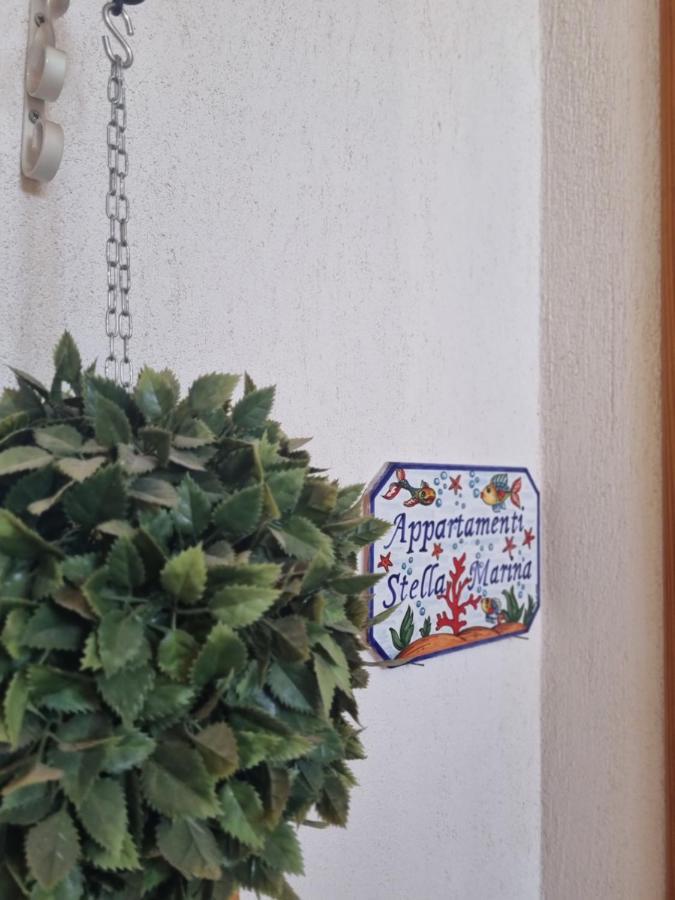 Appartamenti Stella Marina سان فيتو لو كابو المظهر الخارجي الصورة
